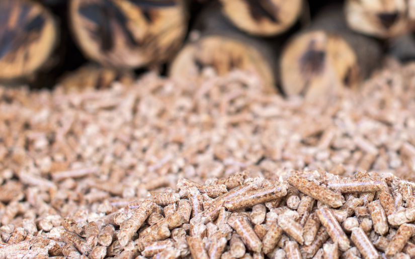 Sourcing Biomass Feedstock from US National Forests